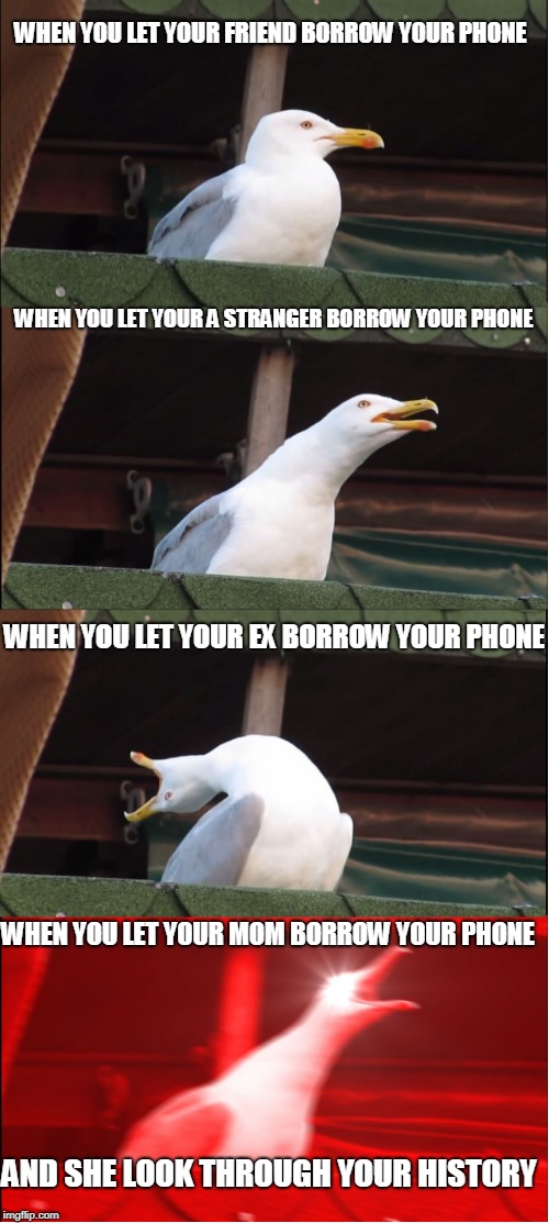 Inhaling Seagull Meme | WHEN YOU LET YOUR FRIEND BORROW YOUR PHONE; WHEN YOU LET YOUR A STRANGER BORROW YOUR PHONE; WHEN YOU LET YOUR EX BORROW YOUR PHONE; WHEN YOU LET YOUR MOM BORROW YOUR PHONE; AND SHE LOOK THROUGH YOUR HISTORY | image tagged in memes,inhaling seagull | made w/ Imgflip meme maker