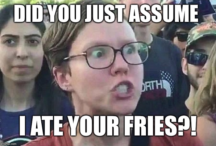 Triggered Liberal | DID YOU JUST ASSUME I ATE YOUR FRIES?! | image tagged in triggered liberal | made w/ Imgflip meme maker