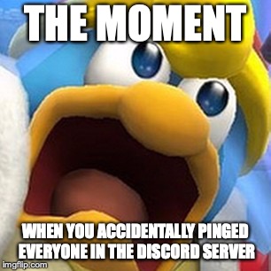 King Dedede oh shit face | THE MOMENT; WHEN YOU ACCIDENTALLY PINGED EVERYONE IN THE DISCORD SERVER | image tagged in king dedede oh shit face | made w/ Imgflip meme maker