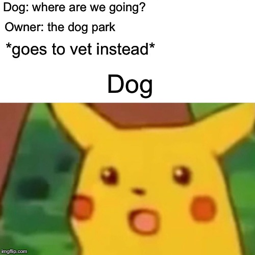 Surprised Pikachu Meme | Dog: where are we going? Owner: the dog park; *goes to vet instead*; Dog | image tagged in memes,surprised pikachu | made w/ Imgflip meme maker