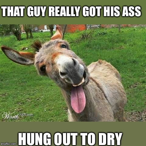Laughing Donkey | THAT GUY REALLY GOT HIS ASS HUNG OUT TO DRY | image tagged in laughing donkey | made w/ Imgflip meme maker