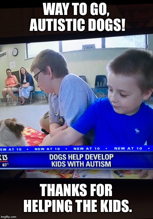 Grammar error  | WAY TO GO, AUTISTIC DOGS! THANKS FOR HELPING THE KIDS. | image tagged in dogs | made w/ Imgflip meme maker