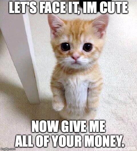 Cute Cat Meme | LET'S FACE IT, IM CUTE; NOW GIVE ME ALL OF YOUR MONEY. | image tagged in memes,cute cat | made w/ Imgflip meme maker