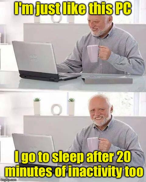 Sleep Mode | I'm just like this PC; I go to sleep after 20 minutes of inactivity too | image tagged in memes,hide the pain harold,computer,sleep | made w/ Imgflip meme maker