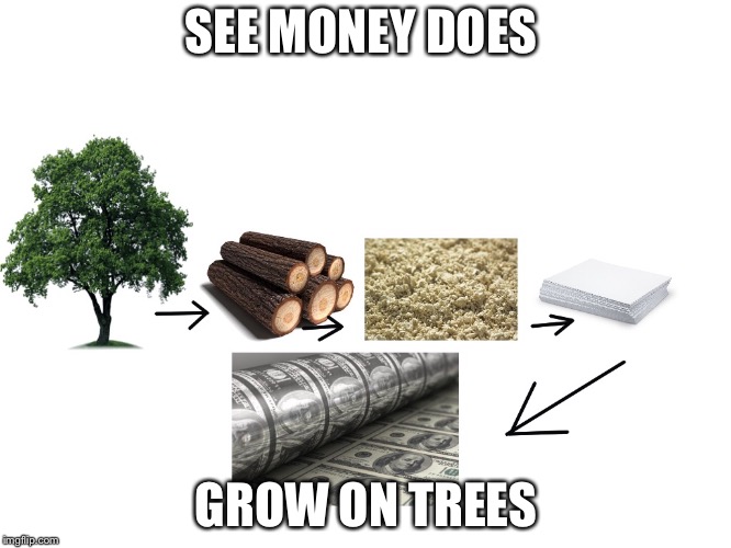 money does grow on trees  | SEE MONEY DOES; GROW ON TREES | image tagged in money,trees | made w/ Imgflip meme maker