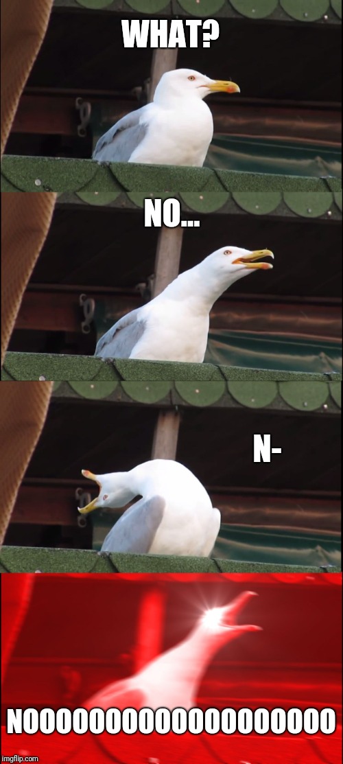 Inhaling Seagull Meme | WHAT? NO... N-; NOOOOOOOOOOOOOOOOOOO | image tagged in memes,inhaling seagull | made w/ Imgflip meme maker
