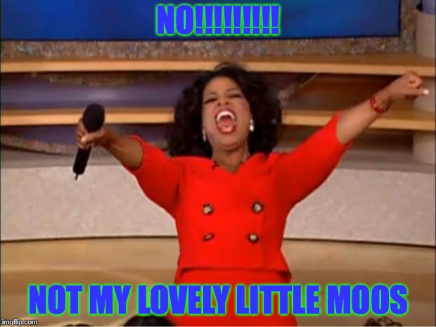 Oprah You Get A Meme | NO!!!!!!!!! NOT MY LOVELY LITTLE MOOS | image tagged in memes,oprah you get a | made w/ Imgflip meme maker