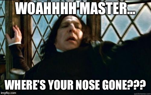 Snape Meme | WOAHHHH MASTER... WHERE’S YOUR NOSE GONE??? | image tagged in memes,snape | made w/ Imgflip meme maker
