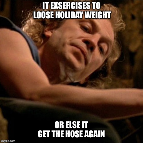 Buffalo Bill | IT EXSERCISES TO LOOSE HOLIDAY WEIGHT; OR ELSE IT GET THE HOSE AGAIN | image tagged in buffalo bill | made w/ Imgflip meme maker