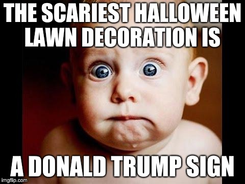 Frightened baby | THE SCARIEST HALLOWEEN LAWN DECORATION IS; A DONALD TRUMP SIGN | image tagged in frightened baby | made w/ Imgflip meme maker
