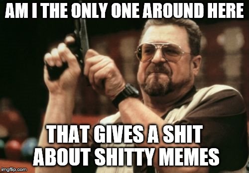Am I The Only One Around Here | AM I THE ONLY ONE AROUND HERE; THAT GIVES A SHIT ABOUT SHITTY MEMES | image tagged in memes,am i the only one around here | made w/ Imgflip meme maker
