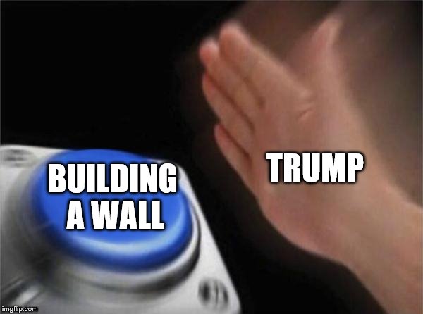 Blank Nut Button | TRUMP; BUILDING A WALL | image tagged in memes,blank nut button | made w/ Imgflip meme maker