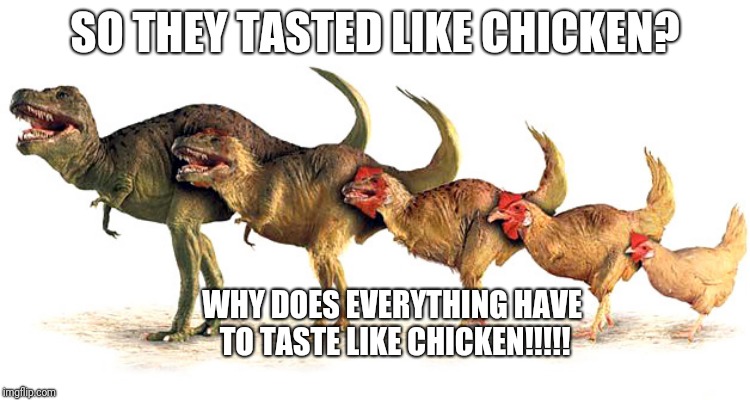 I don't believe in evolution, but hmmmmm? | SO THEY TASTED LIKE CHICKEN? WHY DOES EVERYTHING HAVE TO TASTE LIKE CHICKEN!!!!! | image tagged in memes,funny,dinosaur,chicken,yep i dont care | made w/ Imgflip meme maker