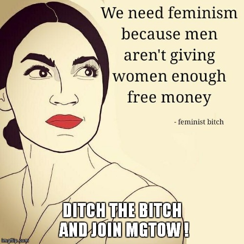 DITCH THE BITCH AND JOIN MGTOW ! | image tagged in feminist bitch | made w/ Imgflip meme maker