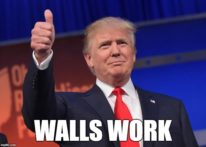 donald trump | WALLS WORK | image tagged in donald trump | made w/ Imgflip meme maker