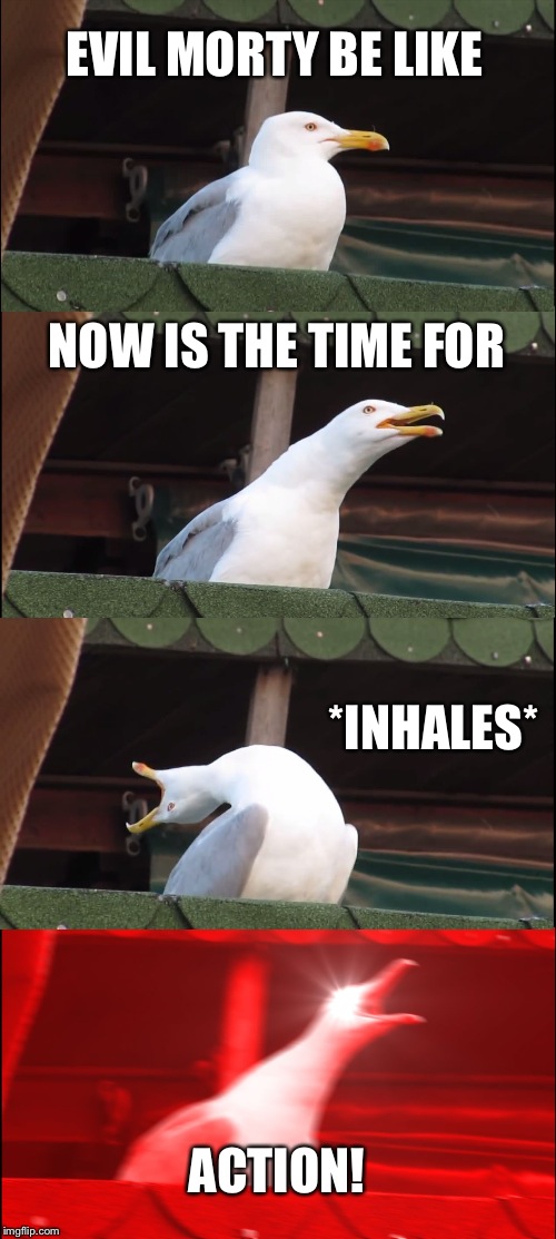 Inhaling Seagull Meme | EVIL MORTY BE LIKE; NOW IS THE TIME FOR; *INHALES*; ACTION! | image tagged in memes,inhaling seagull | made w/ Imgflip meme maker