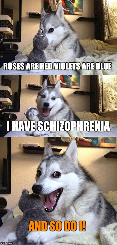 Bad Pun Dog | ROSES ARE RED VIOLETS ARE BLUE; I HAVE SCHIZOPHRENIA; AND SO DO I! | image tagged in memes,bad pun dog | made w/ Imgflip meme maker