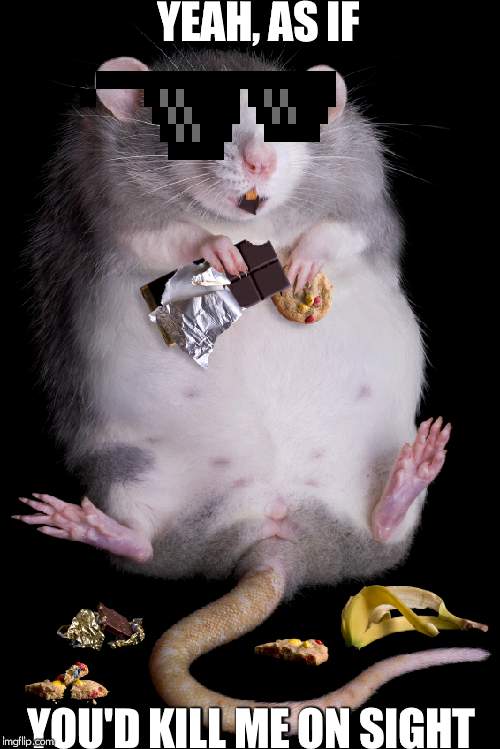 Mouse | YEAH, AS IF YOU'D KILL ME ON SIGHT | image tagged in mouse | made w/ Imgflip meme maker
