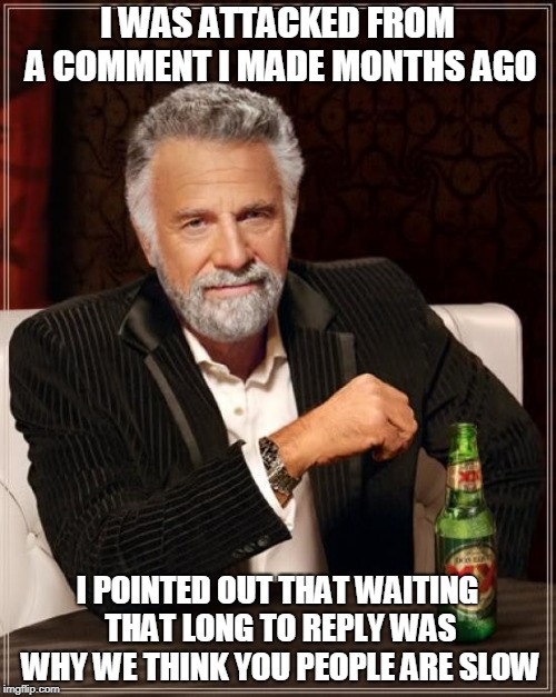 The Most Interesting Man In The World Meme | I WAS ATTACKED FROM A COMMENT I MADE MONTHS AGO I POINTED OUT THAT WAITING THAT LONG TO REPLY WAS WHY WE THINK YOU PEOPLE ARE SLOW | image tagged in memes,the most interesting man in the world | made w/ Imgflip meme maker