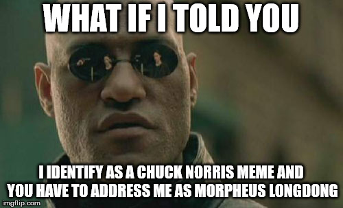 Matrix Morpheus | WHAT IF I TOLD YOU; I IDENTIFY AS A CHUCK NORRIS MEME AND YOU HAVE TO ADDRESS ME AS MORPHEUS LONGDONG | image tagged in memes,matrix morpheus | made w/ Imgflip meme maker