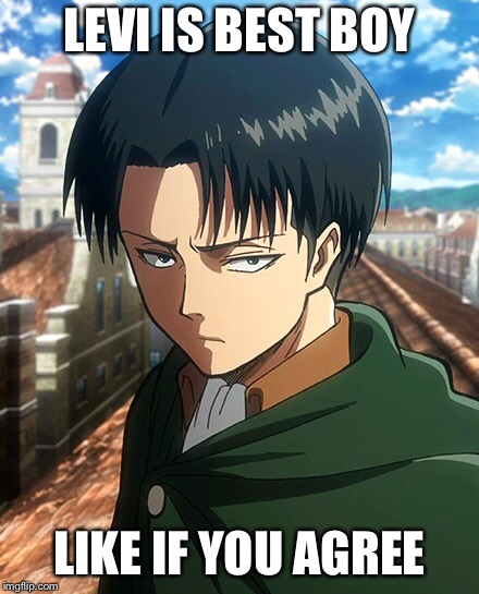 LEVI IS BEST BOY; LIKE IF YOU AGREE | image tagged in levi | made w/ Imgflip meme maker