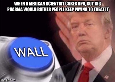 Eva Ramón Gallegos, you just got WALLed. | WHEN A MEXICAN SCIENTIST CURES HPV, BUT BIG PHARMA WOULD RATHER PEOPLE KEEP PAYING TO TREAT IT | image tagged in trump wall button | made w/ Imgflip meme maker