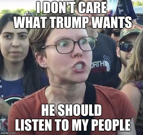 I am no expert but I play one on memes | I DON'T CARE WHAT TRUMP WANTS; HE SHOULD LISTEN TO MY PEOPLE | image tagged in triggered feminist,who cares what you want | made w/ Imgflip meme maker