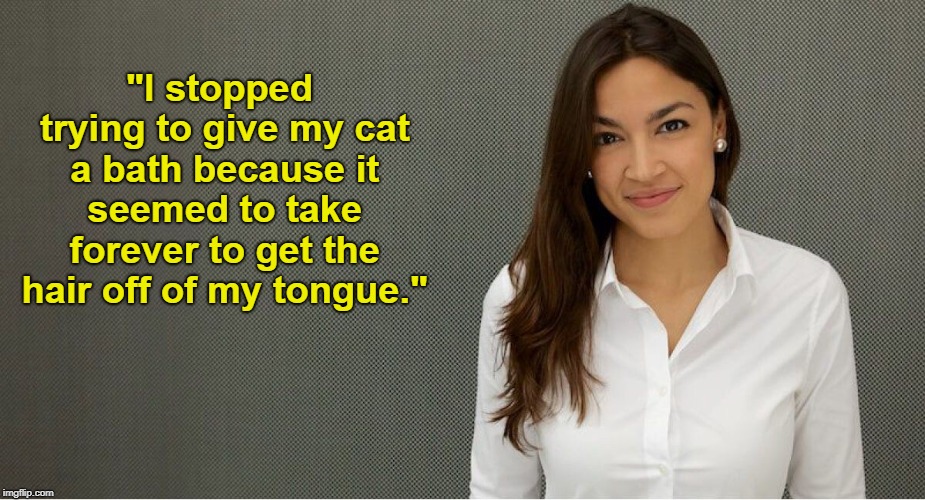 Alexandria Ocasio-Cortez | "I stopped trying to give my cat a bath because it seemed to take forever to get the hair off of my tongue." | image tagged in alexandria ocasio-cortez,fake quotes,fun with liberals,memes | made w/ Imgflip meme maker