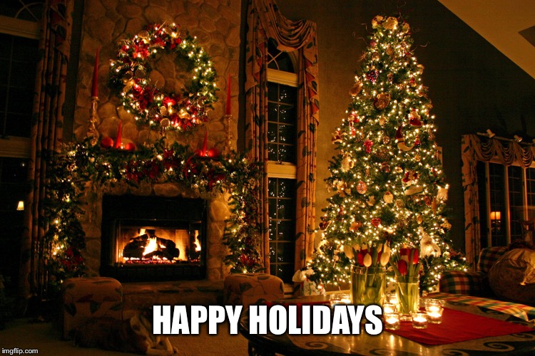 Happy Holidays | HAPPY HOLIDAYS | image tagged in happy holidays | made w/ Imgflip meme maker