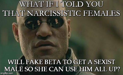Matrix Morpheus Meme | WHAT IF I TOLD YOU THAT NARCISSISTIC FEMALES; WILL FAKE BETA TO GET A SEXIST MALE SO SHE CAN USE HIM ALL UP? | image tagged in memes,matrix morpheus | made w/ Imgflip meme maker