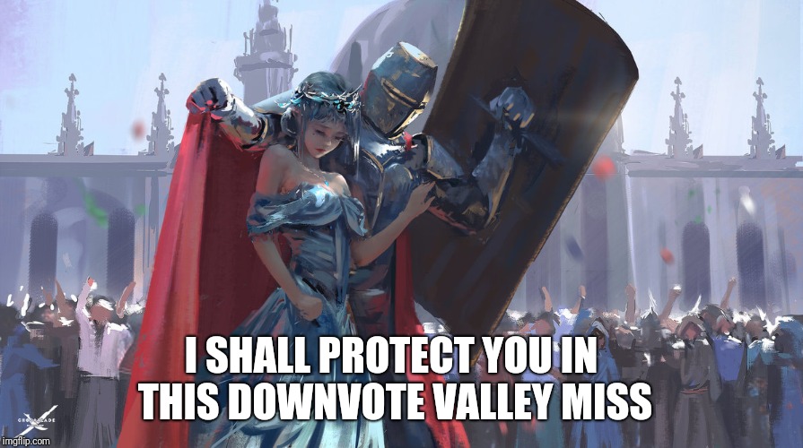 Knight Protecting Princess | I SHALL PROTECT YOU IN THIS DOWNVOTE VALLEY MISS | image tagged in knight protecting princess | made w/ Imgflip meme maker