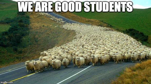 sheep | WE ARE GOOD STUDENTS | image tagged in sheep | made w/ Imgflip meme maker