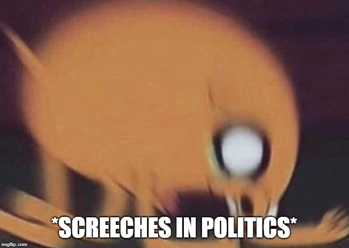 jake screech | *SCREECHES IN POLITICS* | image tagged in jake screech | made w/ Imgflip meme maker