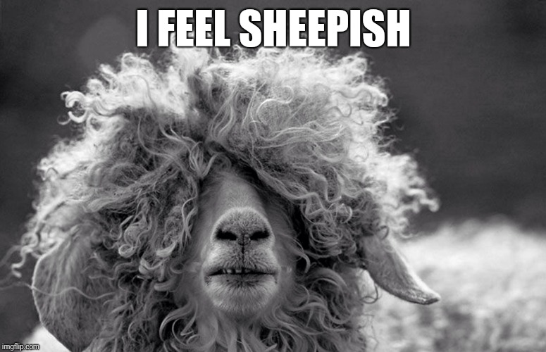 Sheeping Yet? | I FEEL SHEEPISH | image tagged in sheeping yet | made w/ Imgflip meme maker