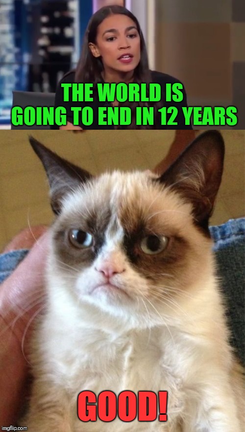 THE WORLD IS GOING TO END IN 12 YEARS; GOOD! | image tagged in memes,grumpy cat,ocasio | made w/ Imgflip meme maker