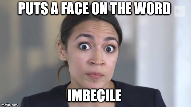 Crazy Alexandria Ocasio-Cortez | PUTS A FACE ON THE WORD; IMBECILE | image tagged in crazy alexandria ocasio-cortez | made w/ Imgflip meme maker