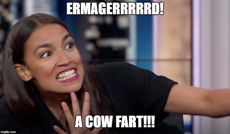 aoc | ERMAGERRRRRD! A COW FART!!! | image tagged in aoc | made w/ Imgflip meme maker