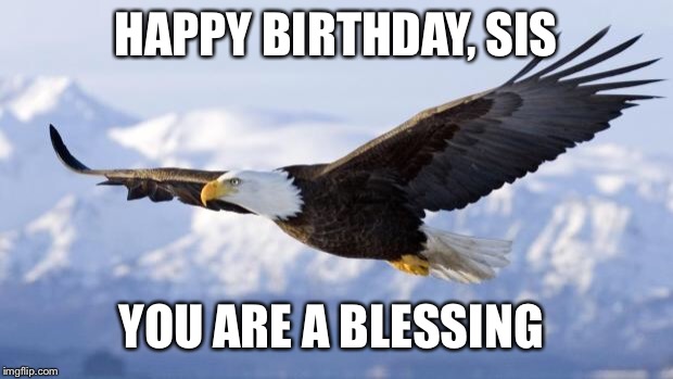 eagle | HAPPY BIRTHDAY, SIS; YOU ARE A BLESSING | image tagged in eagle | made w/ Imgflip meme maker