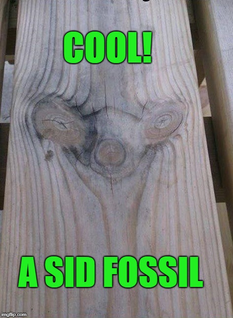 sid fossil | COOL! A SID FOSSIL | image tagged in sid,fossil | made w/ Imgflip meme maker