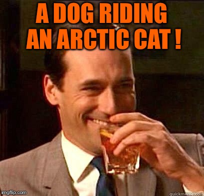 Laughing Don Draper | A DOG RIDING AN ARCTIC CAT ! | image tagged in laughing don draper | made w/ Imgflip meme maker