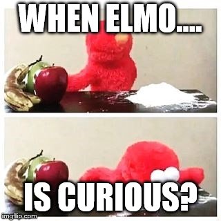 elmo cocaine | WHEN ELMO.... IS CURIOUS? | image tagged in elmo cocaine | made w/ Imgflip meme maker