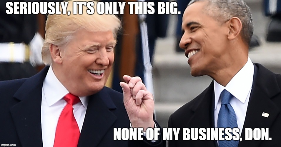 Whipping out the ruler. | SERIOUSLY, IT'S ONLY THIS BIG. NONE OF MY BUSINESS, DON. | image tagged in trump,obama,comparison,joke | made w/ Imgflip meme maker