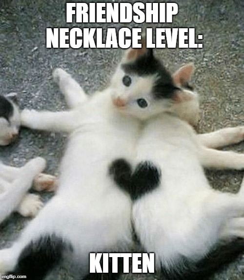 Wonder Kittens, ACTIVATE! | FRIENDSHIP NECKLACE LEVEL:; KITTEN | image tagged in cats,kittens,friendship | made w/ Imgflip meme maker