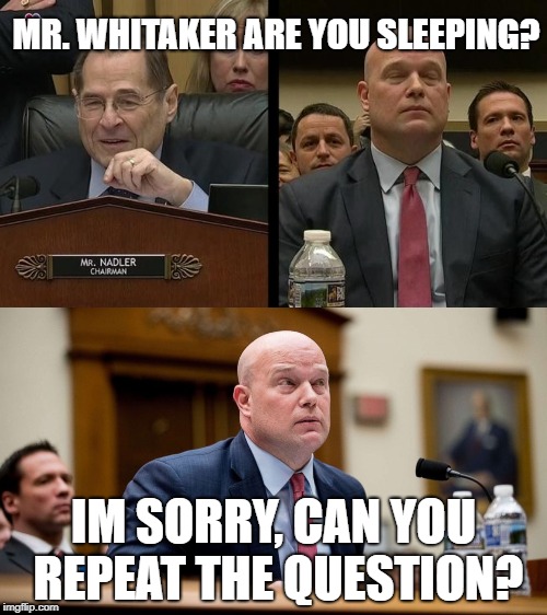 AG Whitaker | MR. WHITAKER ARE YOU SLEEPING? IM SORRY, CAN YOU REPEAT THE QUESTION? | image tagged in congress | made w/ Imgflip meme maker