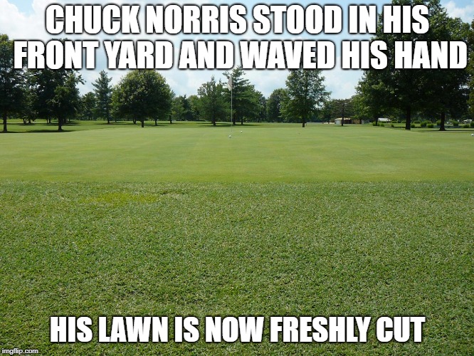 Chuck Norris front lawn | CHUCK NORRIS STOOD IN HIS FRONT YARD AND WAVED HIS HAND; HIS LAWN IS NOW FRESHLY CUT | image tagged in funny memes,chuck norris,memes,lawn | made w/ Imgflip meme maker