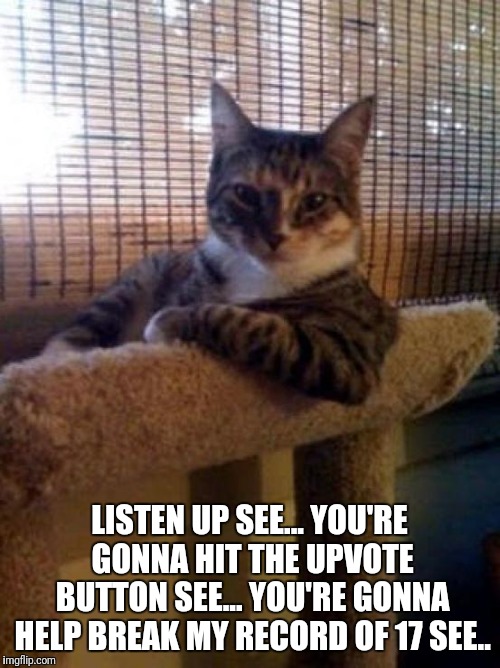 Mafia Cat | LISTEN UP SEE... YOU'RE GONNA HIT THE UPVOTE BUTTON SEE... YOU'RE GONNA HELP BREAK MY RECORD OF 17 SEE.. | image tagged in memes,the most interesting cat in the world,cat | made w/ Imgflip meme maker