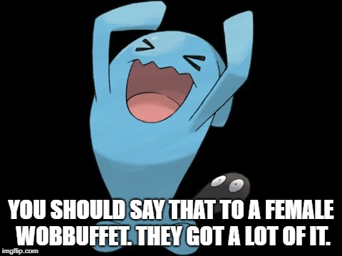 wobbuffet qulbutoké | YOU SHOULD SAY THAT TO A FEMALE WOBBUFFET. THEY GOT A LOT OF IT. | image tagged in wobbuffet qulbutok | made w/ Imgflip meme maker