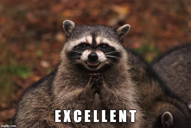 Excellent Raccoon | E X C E L L E N T | image tagged in excellent raccoon | made w/ Imgflip meme maker