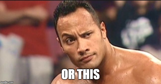 The Rock Eyebrow | OR THIS | image tagged in the rock eyebrow | made w/ Imgflip meme maker