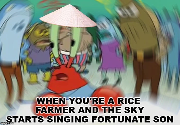 Mr Krabs Blur Meme | WHEN YOU'RE A RICE FARMER AND THE SKY STARTS SINGING FORTUNATE SON | image tagged in memes,mr krabs blur meme | made w/ Imgflip meme maker
